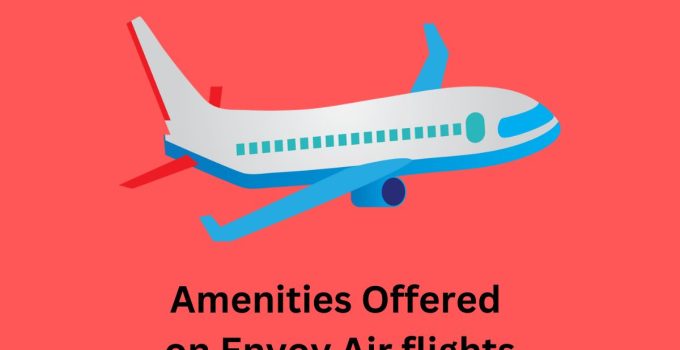 Amenities Offered on Envoy Air flights